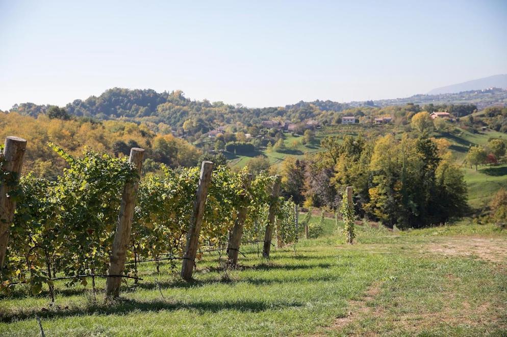 Agriturismo Al Capitello Asolo Buitenkant foto